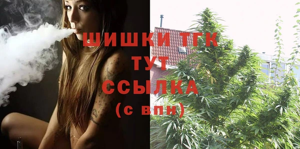 стафф Михайлов