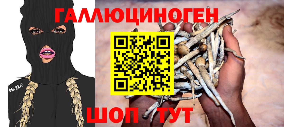 Галлюциногенные грибы GOLDEN TEACHER Нижнеудинск